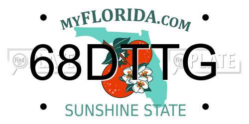 68DTTG Florida License Plate