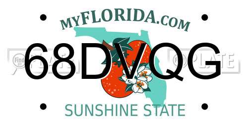 68DVQG Florida License Plate