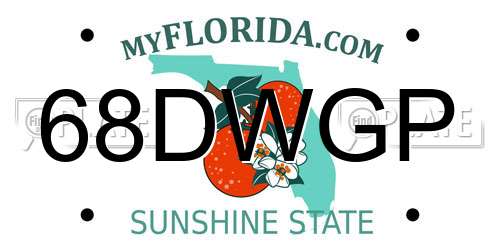 68DWGP Florida License Plate