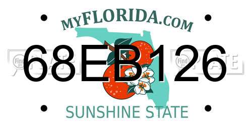 68EB126 Florida License Plate