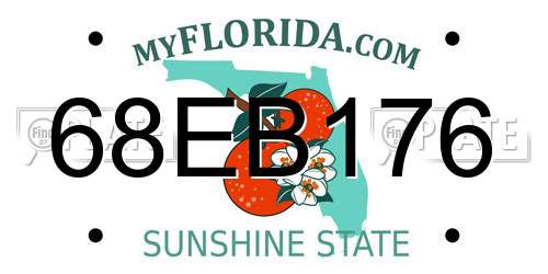 68EB176 Florida License Plate