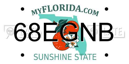 68EGNB Florida License Plate