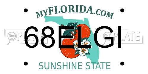 68ELGI Florida License Plate