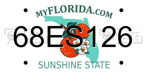 68ES126 Florida License Plate
