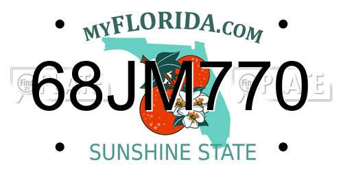 68JM770 Florida License Plate