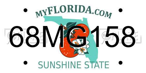 68MG158 Florida License Plate