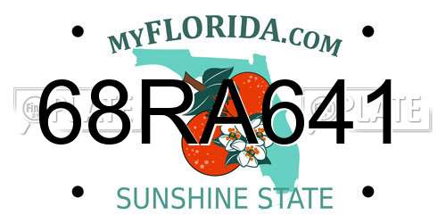 68RA641 Florida License Plate