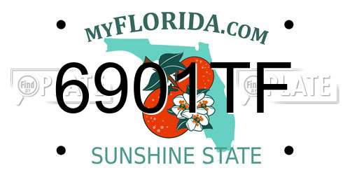6901TF Florida License Plate