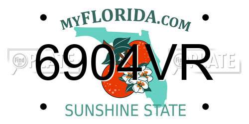 6904VR Florida License Plate