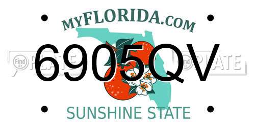 6905QV Florida License Plate