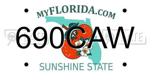 690CAW Florida License Plate