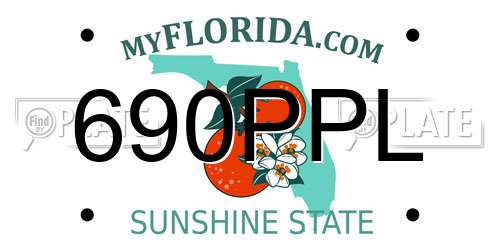 690PPL Florida License Plate
