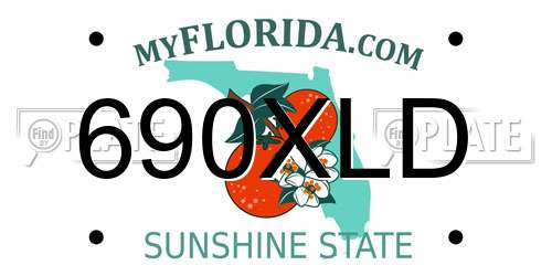 690XLD Florida License Plate