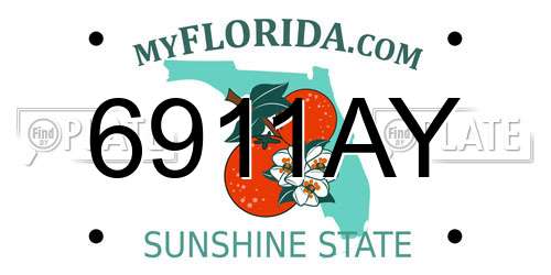6911AY Florida License Plate