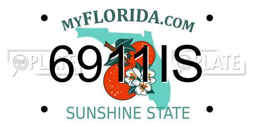 6911IS Florida License Plate