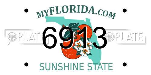 6913 Florida License Plate