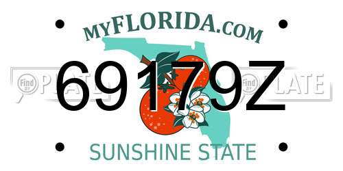 69179Z Florida License Plate