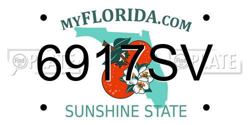 6917SV Florida License Plate