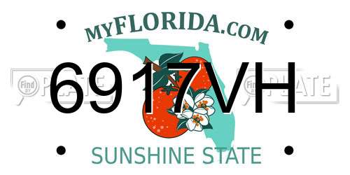 6917VH Florida License Plate