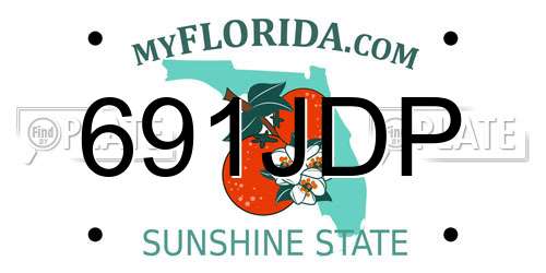 691JDP Florida License Plate