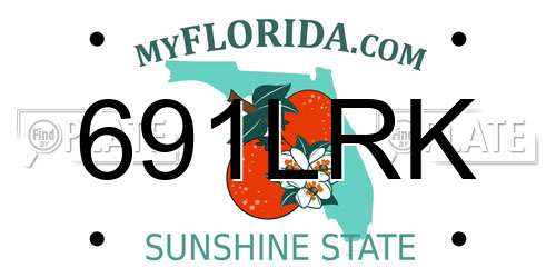 691LRK Florida License Plate