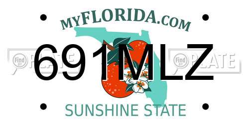 691MLZ Florida License Plate