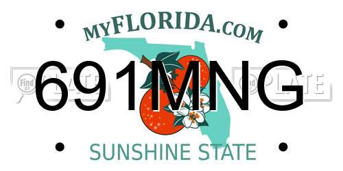 691MNG Florida License Plate