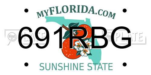 691RBG Florida License Plate