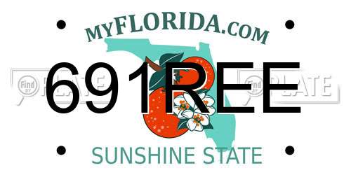 691REE Florida License Plate