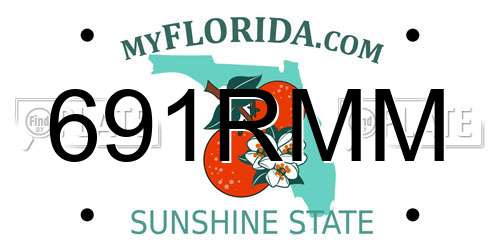 691RMM Florida License Plate
