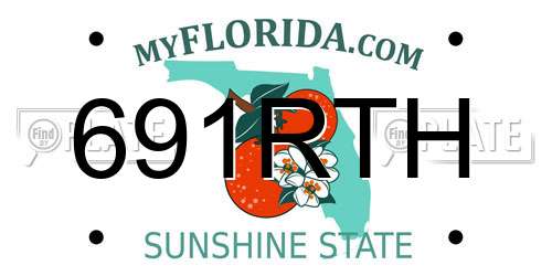 691RTH Florida License Plate
