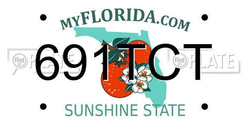 691TCT Florida License Plate