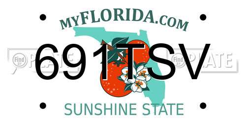 691TSV Florida License Plate