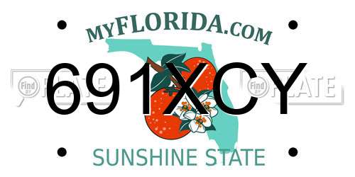 691XCY Florida License Plate