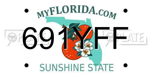 691YFF Florida License Plate