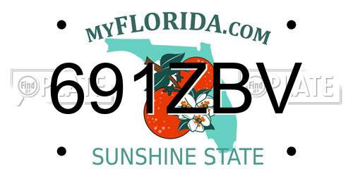 691ZBV Florida License Plate