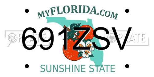 691ZSV Florida License Plate