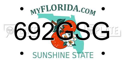 692GSG Florida License Plate