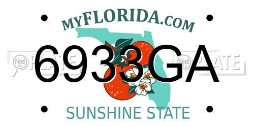 6933GA Florida License Plate