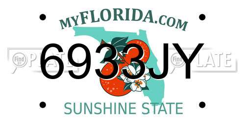 6933JY Florida License Plate