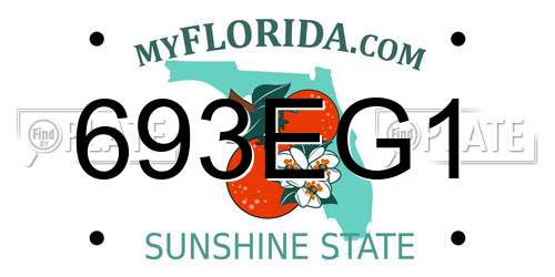 693EG1 Florida License Plate