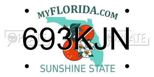 693KJN Florida License Plate