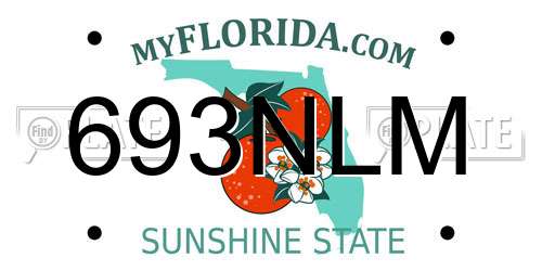693NLM Florida License Plate