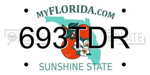 693TDR Florida License Plate