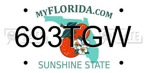 693TGW Florida License Plate