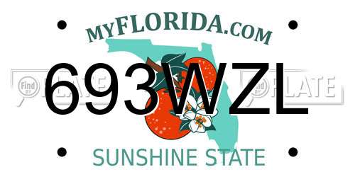 693WZL Florida License Plate
