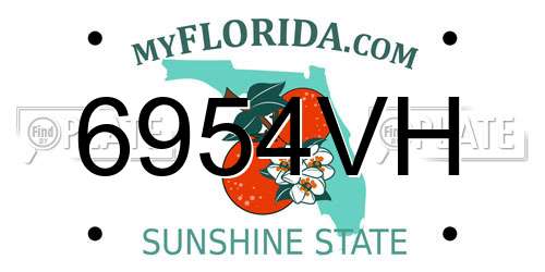 6954VH Florida License Plate