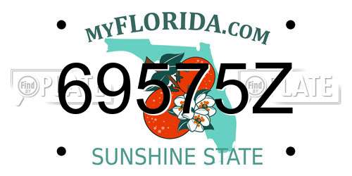 69575Z Florida License Plate