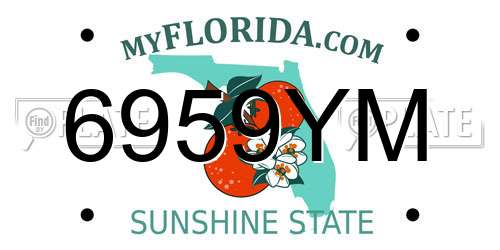 6959YM Florida License Plate