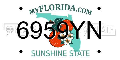 6959YN Florida License Plate